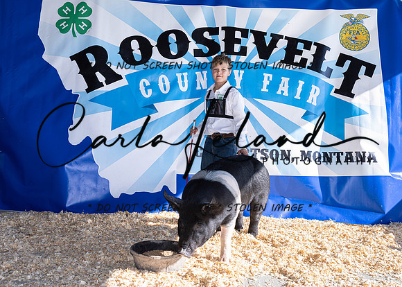 2023 Roosevelt County Fair Swine Show-1602