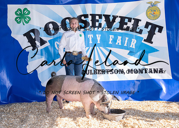 2023 Roosevelt County Fair Swine Show-1609