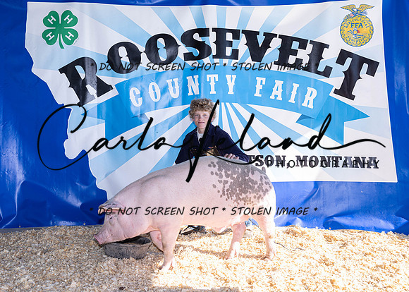 2023 Roosevelt County Fair Swine Show-1626