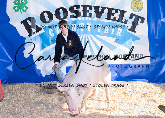 2023 Roosevelt County Fair Swine Show-1638