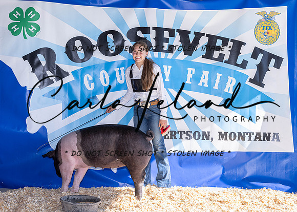 2023 Roosevelt County Fair Swine Show-1632