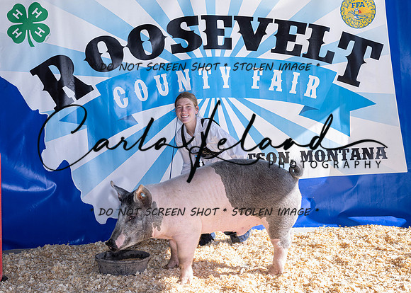 2023 Roosevelt County Fair Swine Show-1633