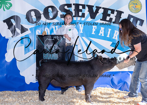 2023 Roosevelt County Fair Swine Show-1653
