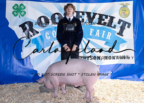 2023 Roosevelt County Fair Swine Show-1668