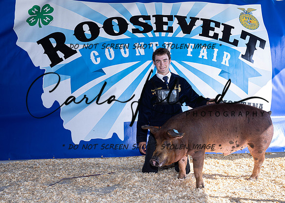 2023 Roosevelt County Fair Swine Show-1673