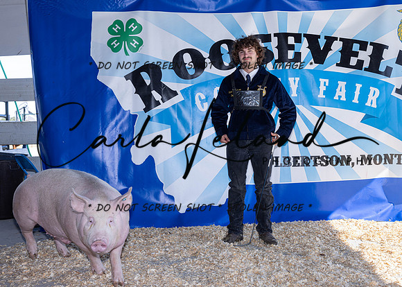2023 Roosevelt County Fair Swine Show-1678