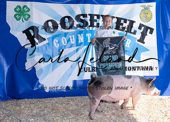 2023 Roosevelt County Fair Swine Show-1683