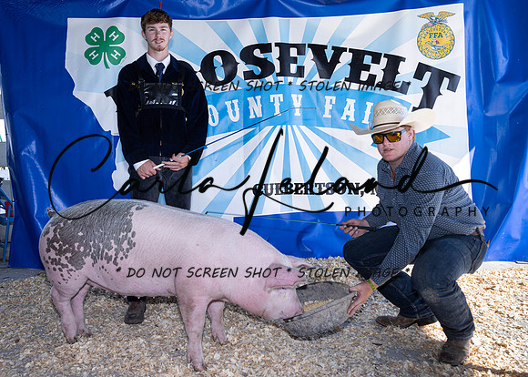 2023 Roosevelt County Fair Swine Show-1698