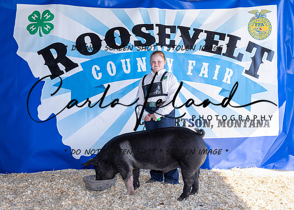 2023 Roosevelt County Fair Swine Show-1712