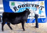 2023 Roosevelt County Fair Beef Show-1792