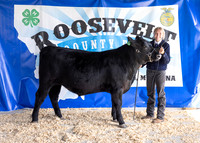 2023 Roosevelt County Fair Beef Show-1798