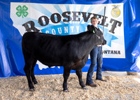 2023 Roosevelt County Fair Beef Show-1807
