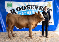 2023 Roosevelt County Fair Beef Show-1802