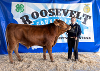 2023 Roosevelt County Fair Beef Show-1813