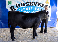 2023 Roosevelt County Fair Beef Show-1832