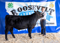 2023 Roosevelt County Fair Beef Show-1822