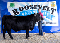 2023 Roosevelt County Fair Beef Show-1826