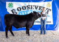 2023 Roosevelt County Fair Beef Show-1839