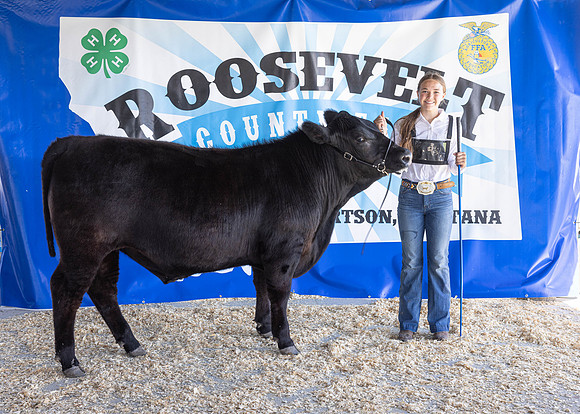2023 Roosevelt County Fair Beef Show-1839