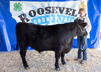 2023 Roosevelt County Fair Beef Show-1847