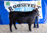 2023 Roosevelt County Fair Beef Show-1843