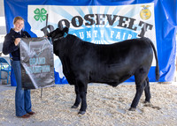 2023 Roosevelt County Fair Beef Show-1849