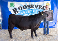 2023 Roosevelt County Fair Beef Show-1854