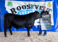 2023 Roosevelt County Fair Beef Show-1859