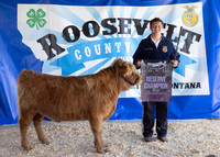 2023 Roosevelt County Fair Beef Show-1865