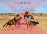 2024 McMillen Pasture Roping-3917