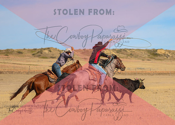 2024 McMillen Pasture Roping-3917