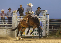Saddle Broncs