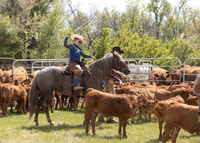 2025 LRA Hfr Branding-4225