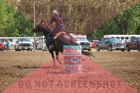 255A3038