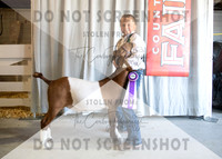 12Aug2021 Roosevelt County Fair-4446