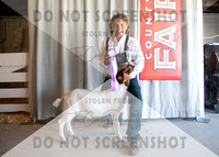 12Aug2021 Roosevelt County Fair-4454