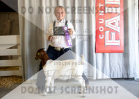12Aug2021 Roosevelt County Fair-4461