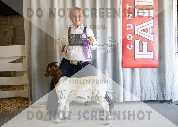 12Aug2021 Roosevelt County Fair-4461