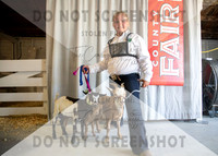 12Aug2021 Roosevelt County Fair-4463
