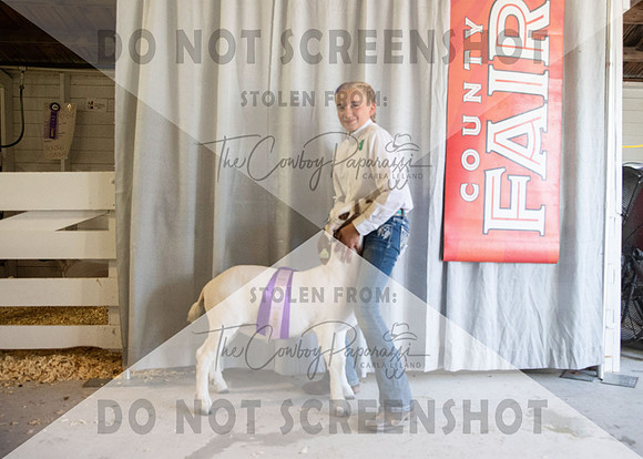 12Aug2021 Roosevelt County Fair-4550