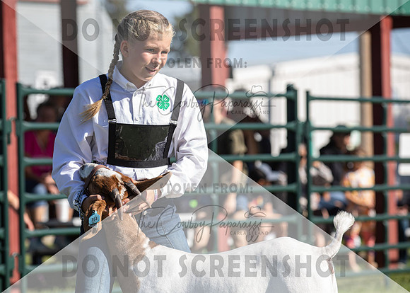 12Aug2021 Roosevelt County Fair-7857