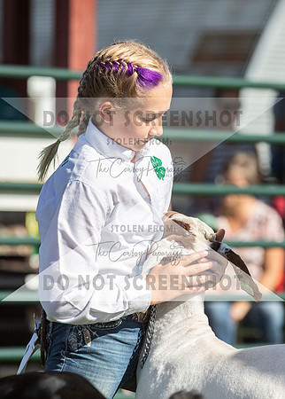 12Aug2021 Roosevelt County Fair-7848