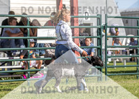 12Aug2021 Roosevelt County Fair-7865