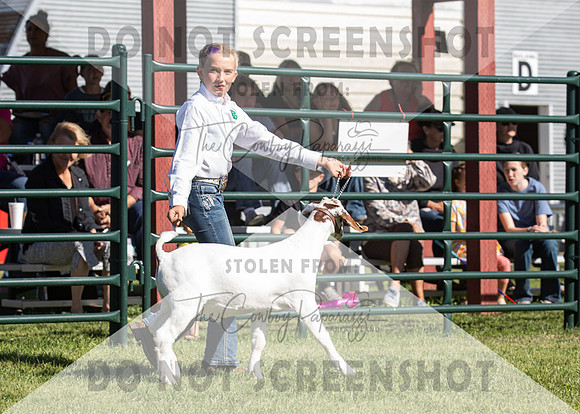 12Aug2021 Roosevelt County Fair-7868