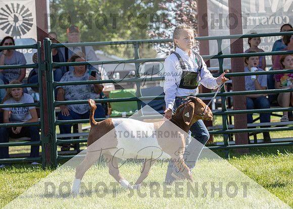 12Aug2021 Roosevelt County Fair-7872