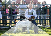 12Aug2021 Roosevelt County Fair-7876