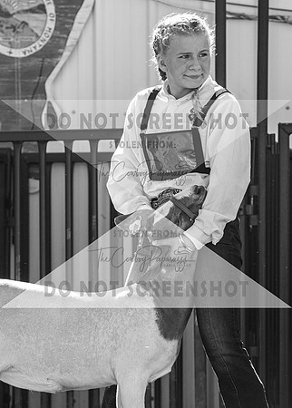 12Aug2021 Roosevelt County Fair-7878
