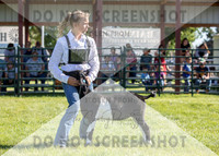 12Aug2021 Roosevelt County Fair-7884