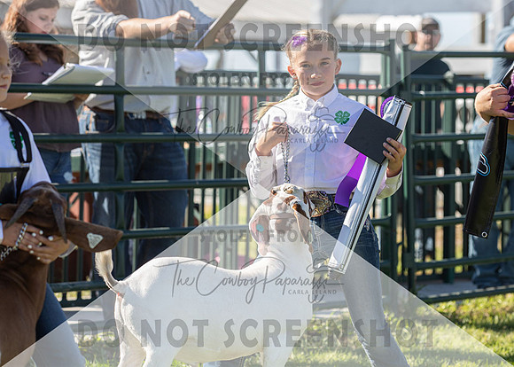 12Aug2021 Roosevelt County Fair-7893
