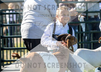 12Aug2021 Roosevelt County Fair-7900